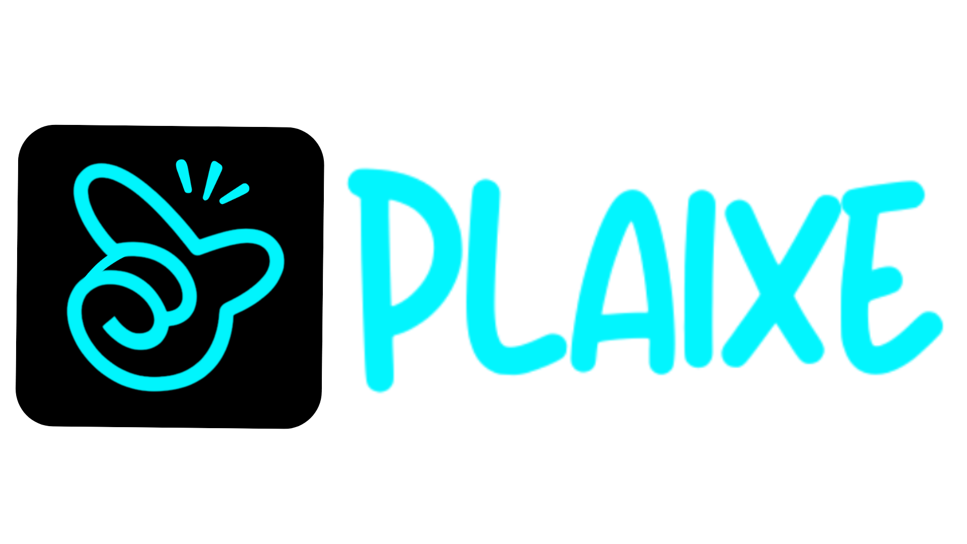Plaixe Logo
